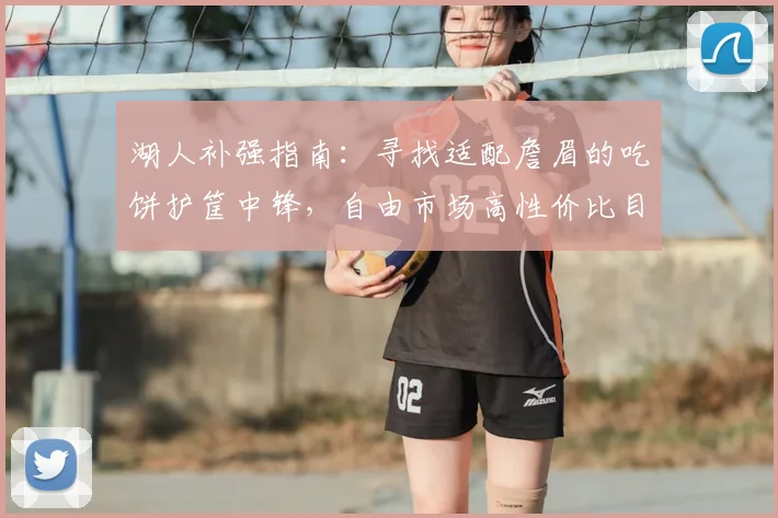 湖人补强指南：寻找适配詹眉的吃饼护筐中锋，自由市场高性价比目标解析