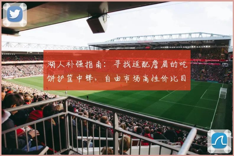 湖人补强指南:寻找适配詹眉的吃饼护筐中锋,自由市场高性价比目标解析